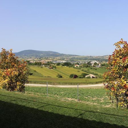 Villa Belvedere Degli Ulivi Osimo Eksteriør bilde
