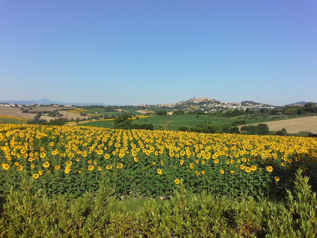 Villa Belvedere Degli Ulivi Osimo Eksteriør bilde