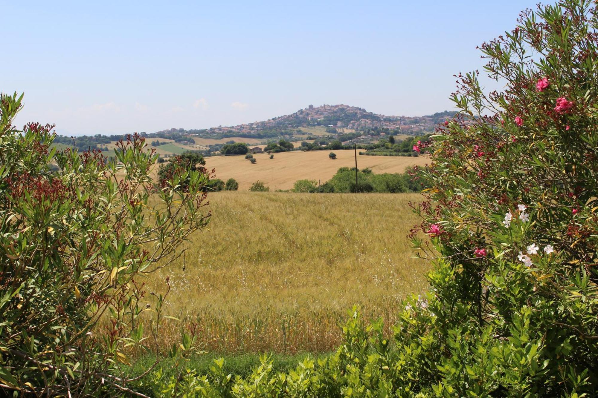 Villa Belvedere Degli Ulivi Osimo Eksteriør bilde
