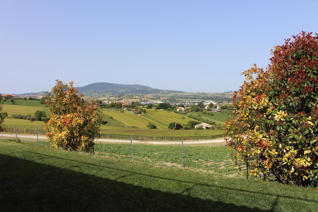 Villa Belvedere Degli Ulivi Osimo Eksteriør bilde